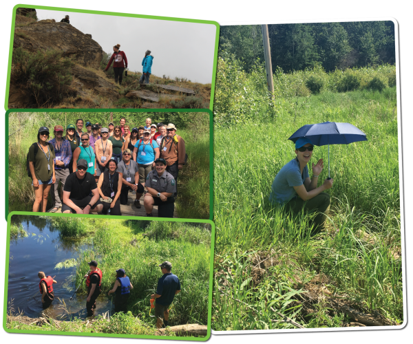 Grasslands Summer Teachers Institute Inside Education