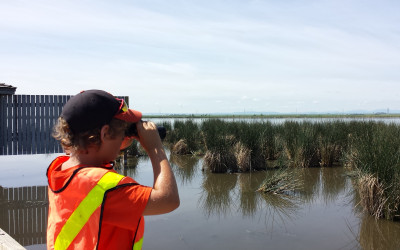 Wetlands Field Trips